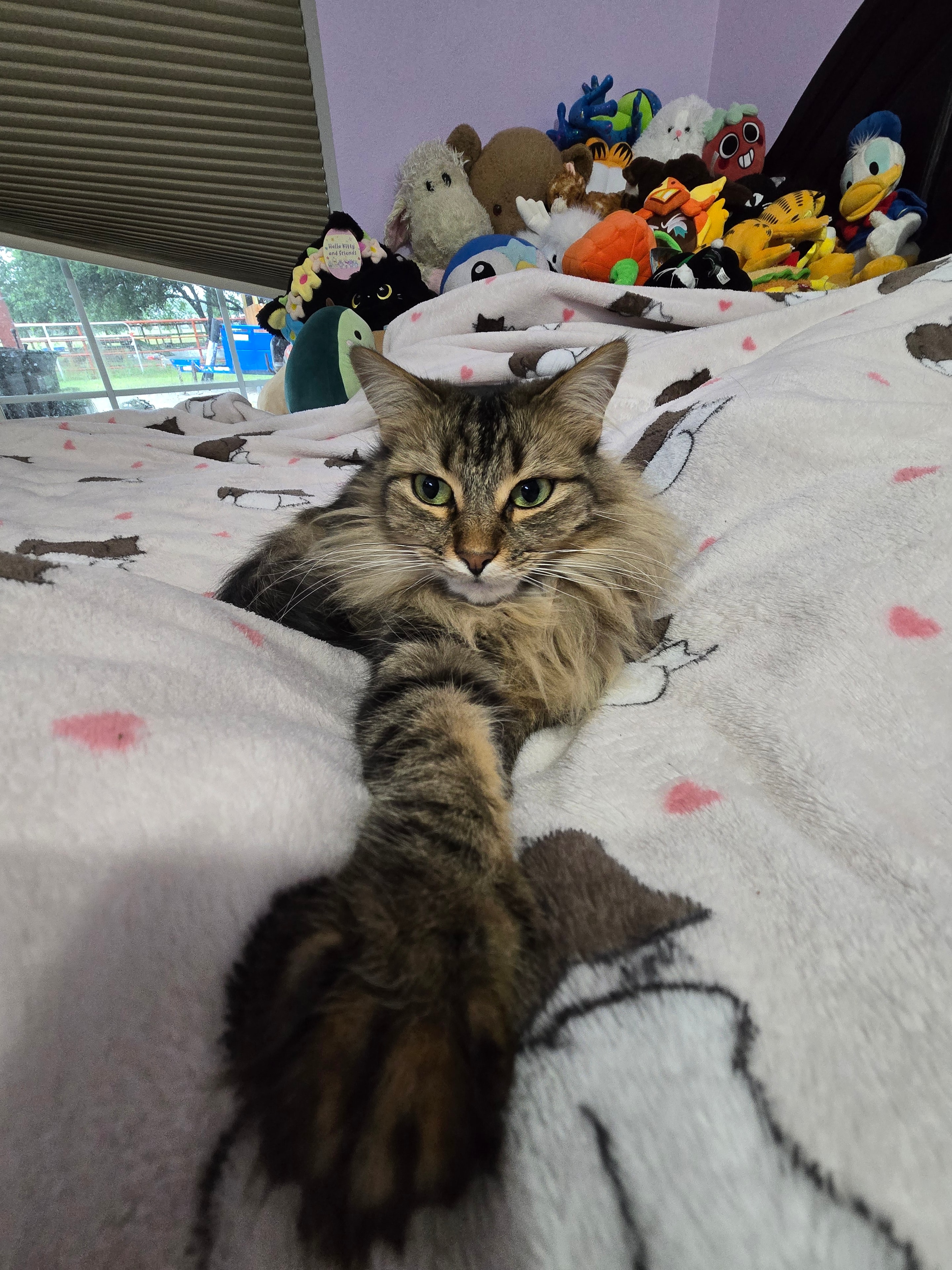 Jinx at ScallyWags