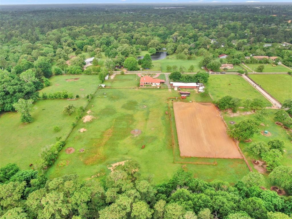 Outdoor green space for dogs to explore near Magnolia, TX