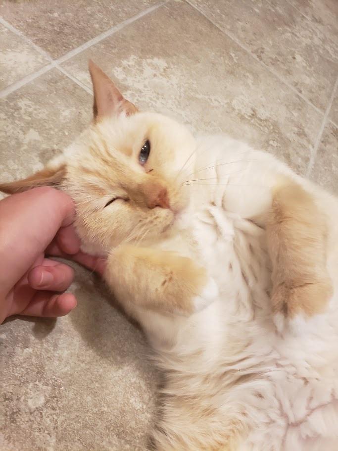 Cuddle!