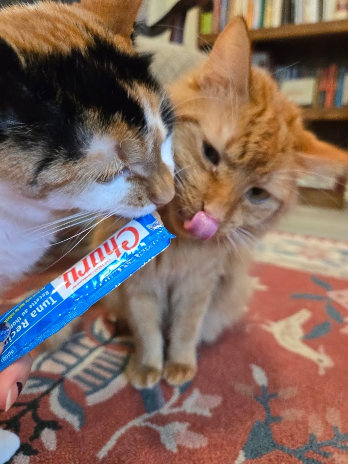 Feed!