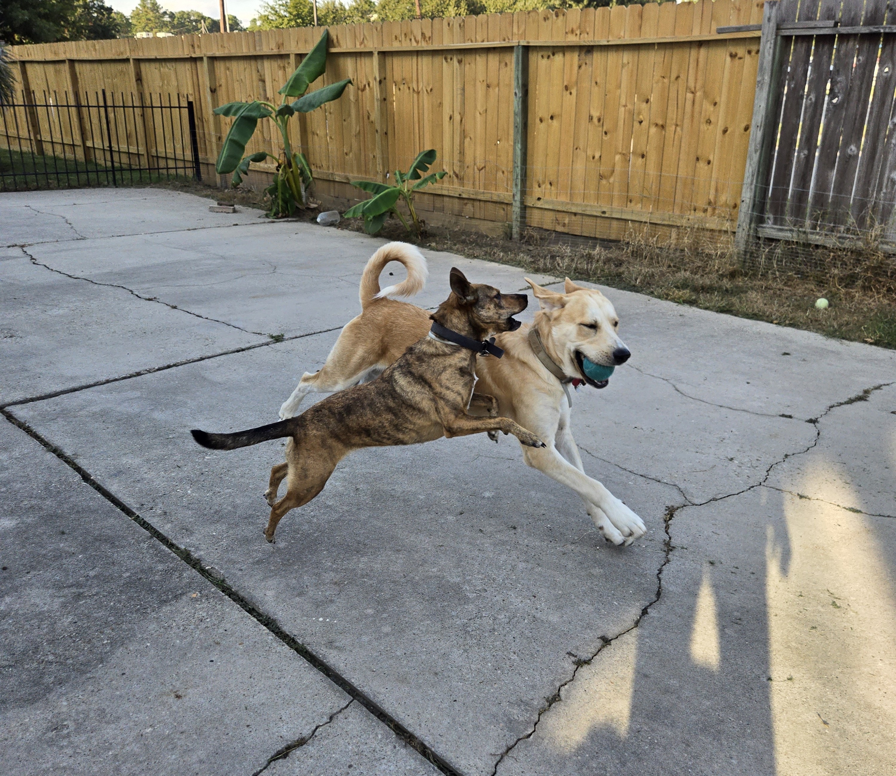 Play!