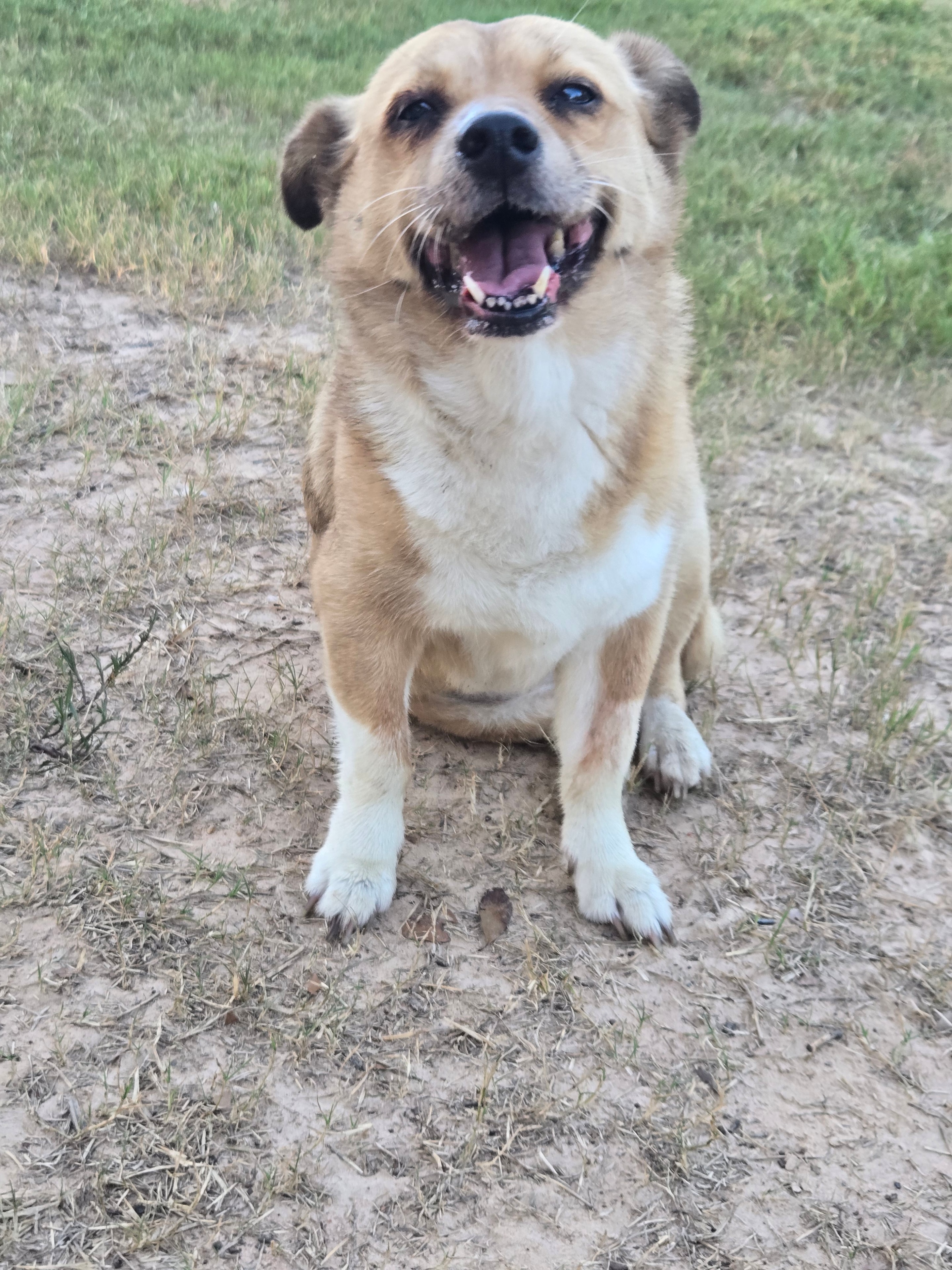 Penny smiling happily at daycare